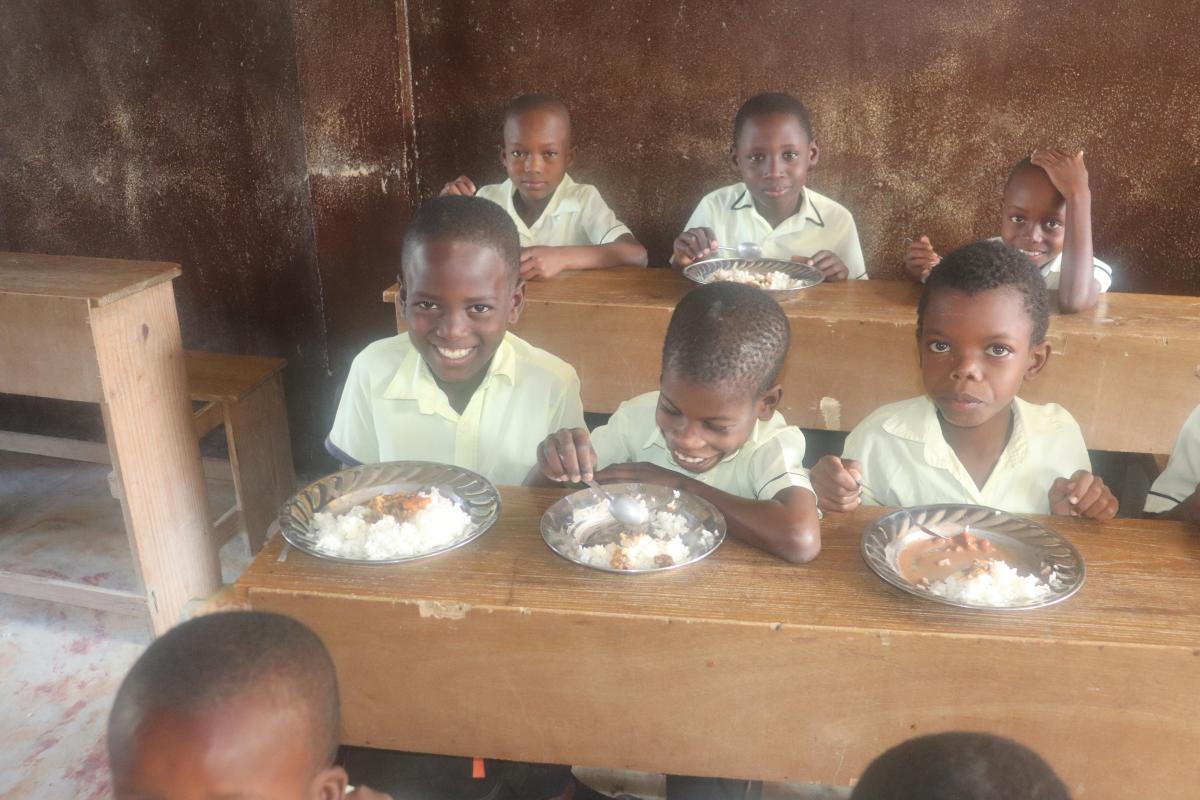 70397fcc45484b77a5949465b5da780f